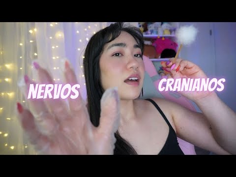 ASMR | Exame de Nervos Cranianos na Clínica do Sono (rápido e com voz suave)