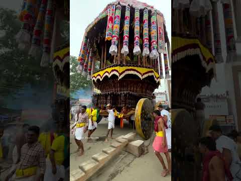 சிதம்பரம் நடராஜர் தேருக்கு உலுக்கை மரம் போடும் காட்சி..