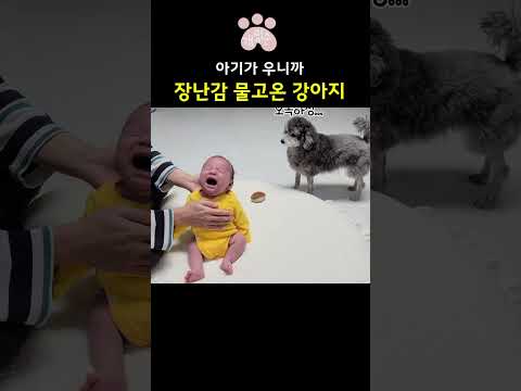 울지마 장난감 줄게