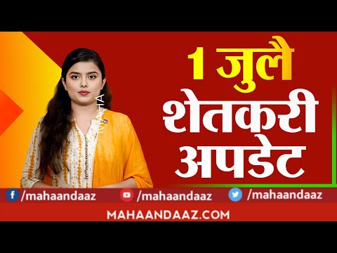 1 जुलै आजच्या राज्यातील शेतकऱ्यांसाठी 15 ठळक बातम्या पिक विमा|नुकसान भरपाई| pm Kisan Yojana update