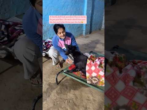Kabhi socha hai in ka jeevan kitna mushkil ho jatha hai insaan ki ek galti ki vaja se #love #shorts