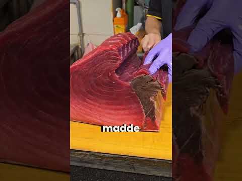 Orkinosun İçinden Çıkan Bu Şey Altın Değerinde! 🐟💎