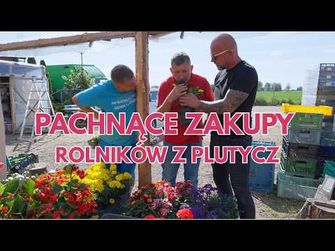 Andrzej pojechał na zakupy do Bielska Podlaskiego po kwiaty Co i komu wybierze Rolnicy z Podlasia