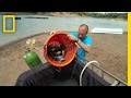 Aquaponics System in Costa Rica