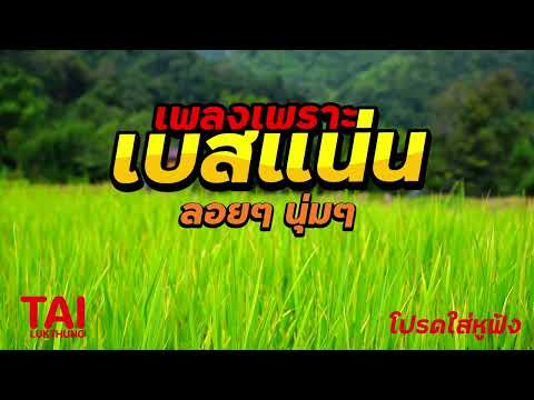 ลูกทุ่ง เพลงเพราะ เบสแน่นๆ (เบสหนัก นุ่ม เบสแน่นๆ ฟังสบายต่อเนื่อง)เบสแน่น#เบสหนัก#เบสนุ่ม#ลูกทุ่ง