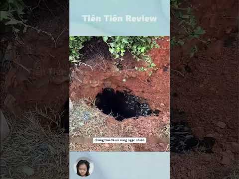 Anh ấy đã phát hiện ra một khối chất rắn màu đen rất kì lạ #short #shorts #viralvideo