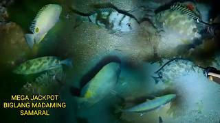EP 480: MEGA JACKPOT BIGLANG MADAMING SAMARAL 🙏🙏