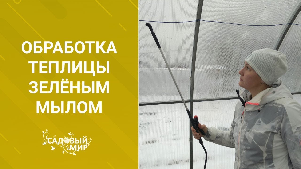 Чем помыть теплицу после сезона. Обработка теплицы зелёным мылом