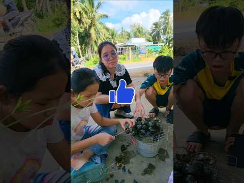 Ốc nướng siêu cay/kykycute #shortvideo