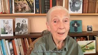 Jane Goodall's persoonlijke boodschap voor de International Dag van de Vrede