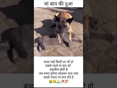 बच्चा चाहे किसी का भी हो सबसे पहले मां बाप को तकलीफ होती है#short