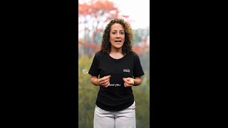 Why do CDs shine like rainbows? | ZEISS