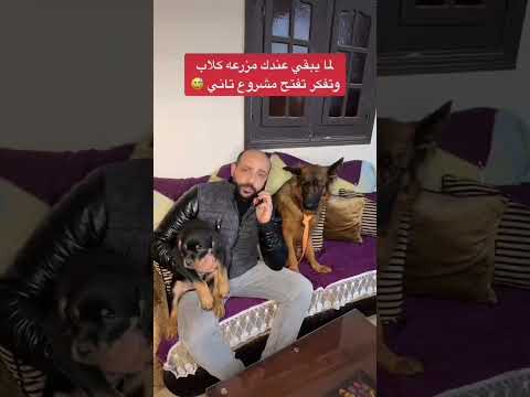 اكلتو كبده آخر مره امتي ⁉️❤️🐶