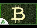 Understanding Cryptocurrencies and Blockchains