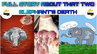 FULL STORY ABOUT THAT TWO ELEPHANTS DEATH || PREGNANT ELEPHANT || CRACKERS INSIDE THE PINEAPPLE
