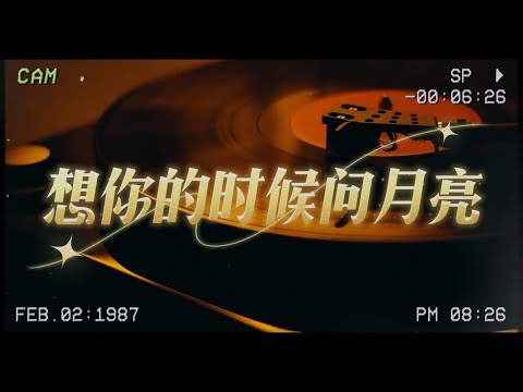 梅朵《想你的時候問月亮》  『月亮恰似你那甜美臉龐 想你的時候只能問月亮』【歌词版】