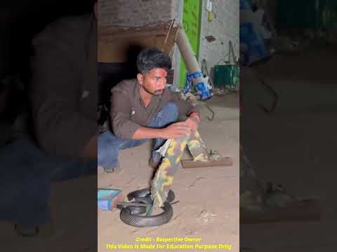 जहर के डिब्बे में फंसे कोबरा की बचाई जान