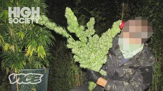 人目につく場所に隠された秘密の大麻農場に潜入 | High Society