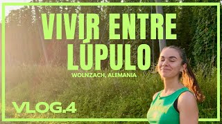 Así es vivir en Wolnzach, la capital del lúpulo en Alemania