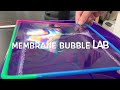 Exploring the Properties of Cell Membranes