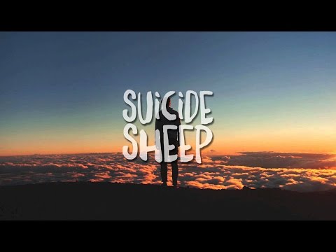 Milky Chance - Flashed Junk Mind (filous Remix)