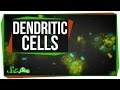 Immunology and Scorpion Biology Concepts