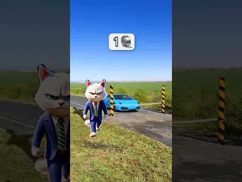 How Much Tape To Stop A Lamborghini? #cat #catlover #funny