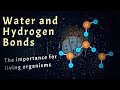 Properties and Behavior of Water