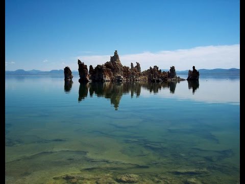 DNA Pink Floyd Tribute