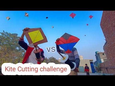 Kite Cutting Challenge 🪁 किसने ज्यादा पतंगे कटी आज 🔥