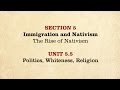 Political Strategies and Immigration in 19th Century America