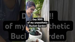 I Tried Growing a Garden on a Budget. Here’s the 50-Day Results.. #gardening #growyourownfood #zone6