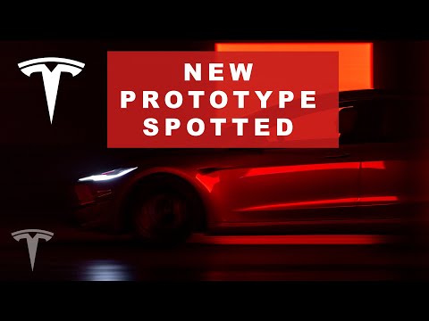 NEW Tesla Prototype Spotted | We Didn't Expect This