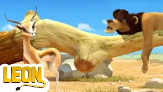 Leon’s Funniest Chase Scenes Ever | Funny Animal Cartoon For Kids | HooplaKidz Shows
