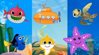 Baby Shark in the Sea with Animals Sea Dolphin octopus colors fish | Kids song Nursery rhymes video
