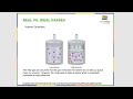Real vs Ideal Gas Behavior