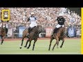 Cloning and Polo: The Story of Adolfo Cambiaso and Alan Meeker