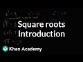 Exploring Square Roots and Their Equations