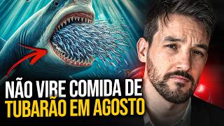 Bitcoin e Criptomoedas em ALERTA! O que Você Precisa Saber Hoje