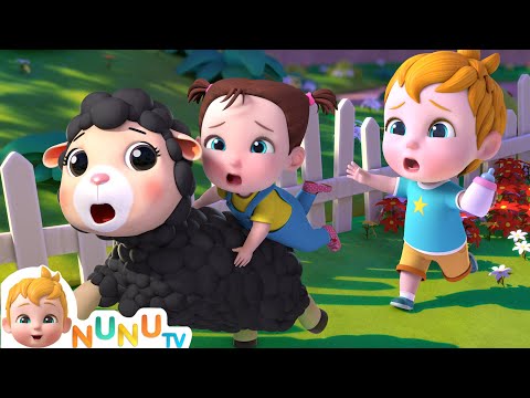 Baa Baa Black Sheep 🐑 | Nursery Rhymes & Kids Songs | Sing Along Song With NuNu Tv