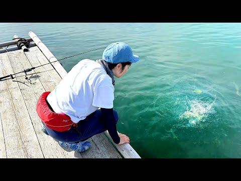 イカダで青物が大量発生！！ルアーでもエサでもない方法で釣る