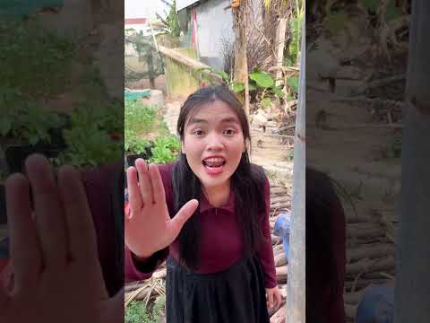 Tổng hợp video cảm động của Anh Tiền Tỉ Phú #viral #video #tientyphu