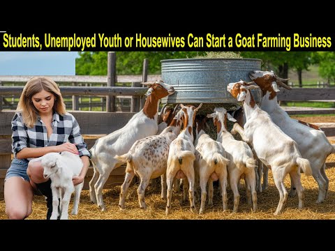 Goat Farming Business Plan - How to Start a Business Goat Farm - Business Ideas for Home