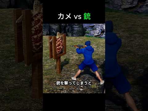 カメの甲羅に銃を撃つと
