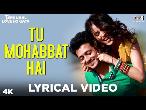 Tu Mohabbat Hai