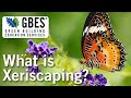 Water Conservation and Usage Practices