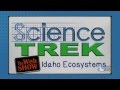 Wildfire Prevention and Ecosystem Interactions
