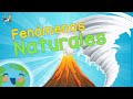Natural Disasters and Their Impacts