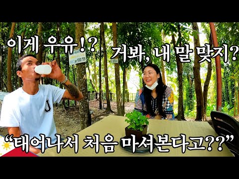 태어나서 처음 진짜 우유를 마셔보는 필리핀 친구의 반응은!? 필리핀 세부시티에 다녀왔습니다