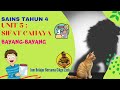 Kuis: Memahami Bayang-Bayang